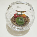 イル プレージョ - 