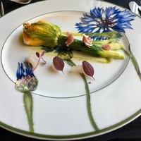 エリゼ光 - 