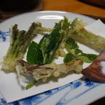 しげや旅館 - 天ぷら：タラの芽、山ウド、コシアブラ、イタドリ、ハナイカダ