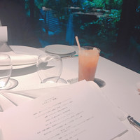 レフェルヴェソンス - 