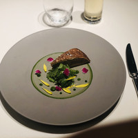 ジョンティ アッシュ - 