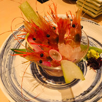 函館うに むらかみ 日本生命札幌ビル店 - ボタン海老