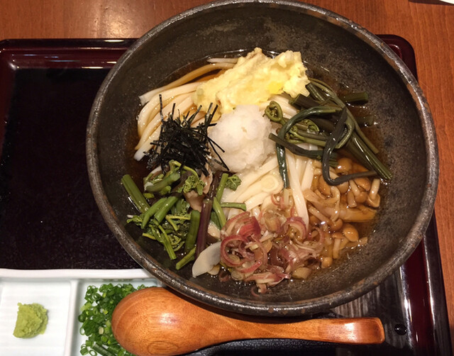 山菜おろしうどん 5月限定 By Kapu1000 うどん棒 大阪本店 うどんぼう 東梅田 うどん 食べログ 山菜おろしうどん 5月限定 By Kapu1000 うどん棒 大阪本店 うどんぼう 東梅田 うどん 食べログ