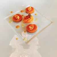 プレスキル - 人参の輪切りのように見えるものは、実はマス。