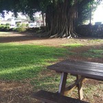 Punalu`u Bake Shop and Visitor Center - 駐車場横のベンチ。ここで食事可能