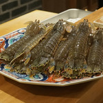 東麻布 天本 - しゃこのお造り