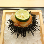 東麻布 天本 - ボタン海老