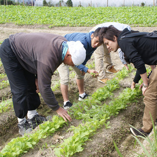 Hinaichi - 生産者に直接指導していただき、農作業を教わりました！