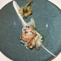 ジョンティ アッシュ - 