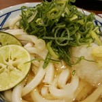 Marugame Seimen - 