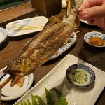 小川の魚 - 鮎