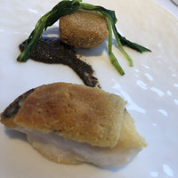 THE KOBECRUISE コンチェルト - 