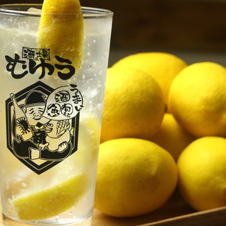 厳選日本酒でゆったり一杯も、レモンサワーで刺激的な乾杯も！