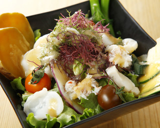 h Sakana Ichi Baryou - 色鮮やかな新鮮な野菜をふんだんに使った“鉢盛り漁漁サラダ”