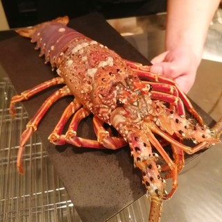 活きの良い、新鮮な海鮮を絶妙な焼き加減でご提供致します。