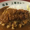 福島上等カレー 土佐堀店