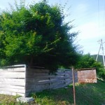 森のお菓子屋 スピカ - 