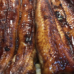 うなぎ亭 友栄 - うなぎアップ