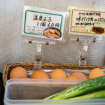 日の出製麺所 - 2019.5 有料トッピングの温泉玉子（60円）、味付け肉（120円）、無料トッピングのネギ