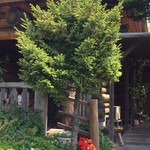 バードランド - 