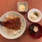  うなぎ登喜川 - ランチうな丼 ¥850