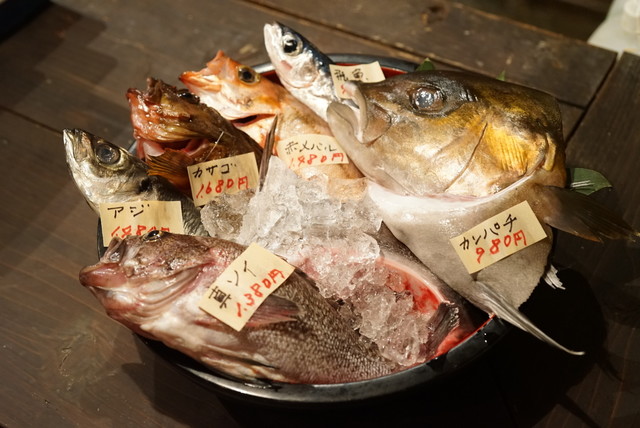 秋田川反漁屋酒場 - 秋田（居酒屋）の写真