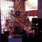 シェ・アオタニ - 入り口横のクリスマスツリー‼