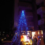 シェ・アオタニ - 大きなクリスマスツリー　綺麗‼