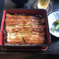 駒形前川 浅草本店 -  駒形前川 浅草本店 -