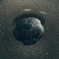 ベージュ アラン・デュカス 東京 - 