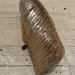 くりや - イワシ