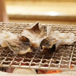 新ばし 星野 - 京都のとり貝