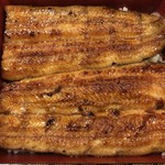 鰻はし本 - 横山さんの鰻の6番仔の鰻重