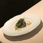 フォリオリーナ・デッラ・ポルタ・フォルトゥーナ - 