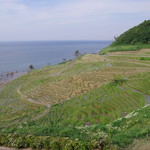 田中屋旅館 - 白米千枚田