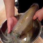 烏賊 鮨ダイニング 鮮助 - 特大サイズのアオリイカ、特別に1万6千円のところを1万2千円にして頂けました♪