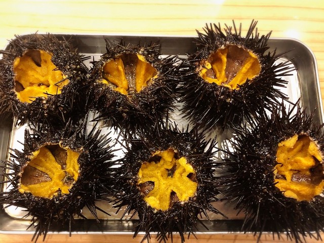 ひな寿し - 本八戸（寿司）の写真