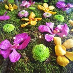 Nicolai Bergmann NOMU - 