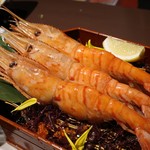 北海道海鮮・完全個室 ～23番地～ - 