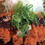 Gohan Dokoro Katsu An - 