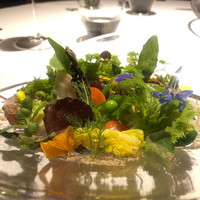 レフェルヴェソンス - 