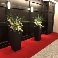 ロゼット - 