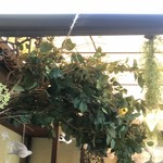 ガトー・プーリア - 