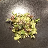 イタリア料理 スペランツァ -  イタリア料理 スペランツァ -