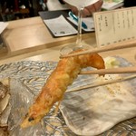 熟成魚と酒ドットジェイピー春夏冬 - 脱皮したばかりの海老を使った天ぷら