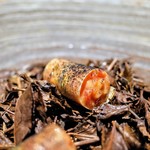 フロリレージュ - 