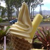 Dole Plantation