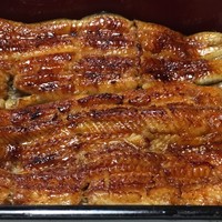 川越 いちのや - 特製うな重(菊)¥3950