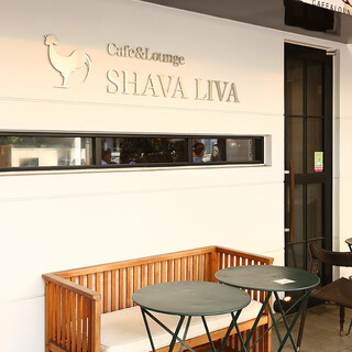 SHAVA LIVA - 