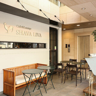 SHAVA LIVA - 